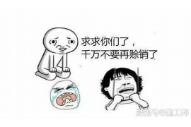 梅河口专业要账公司